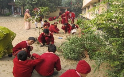 Gardening